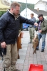 2019 Abfischen_5